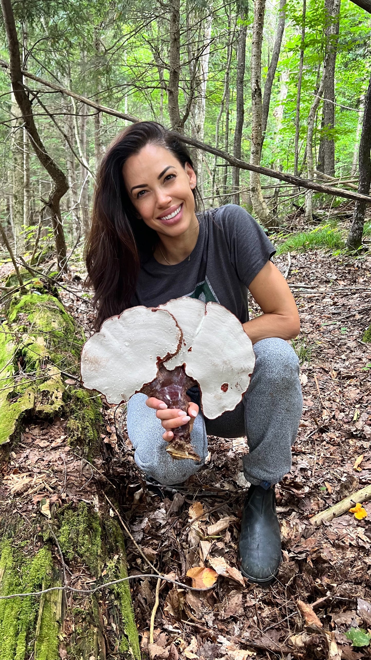 Intro To Medicinal Mushroom Tinctures