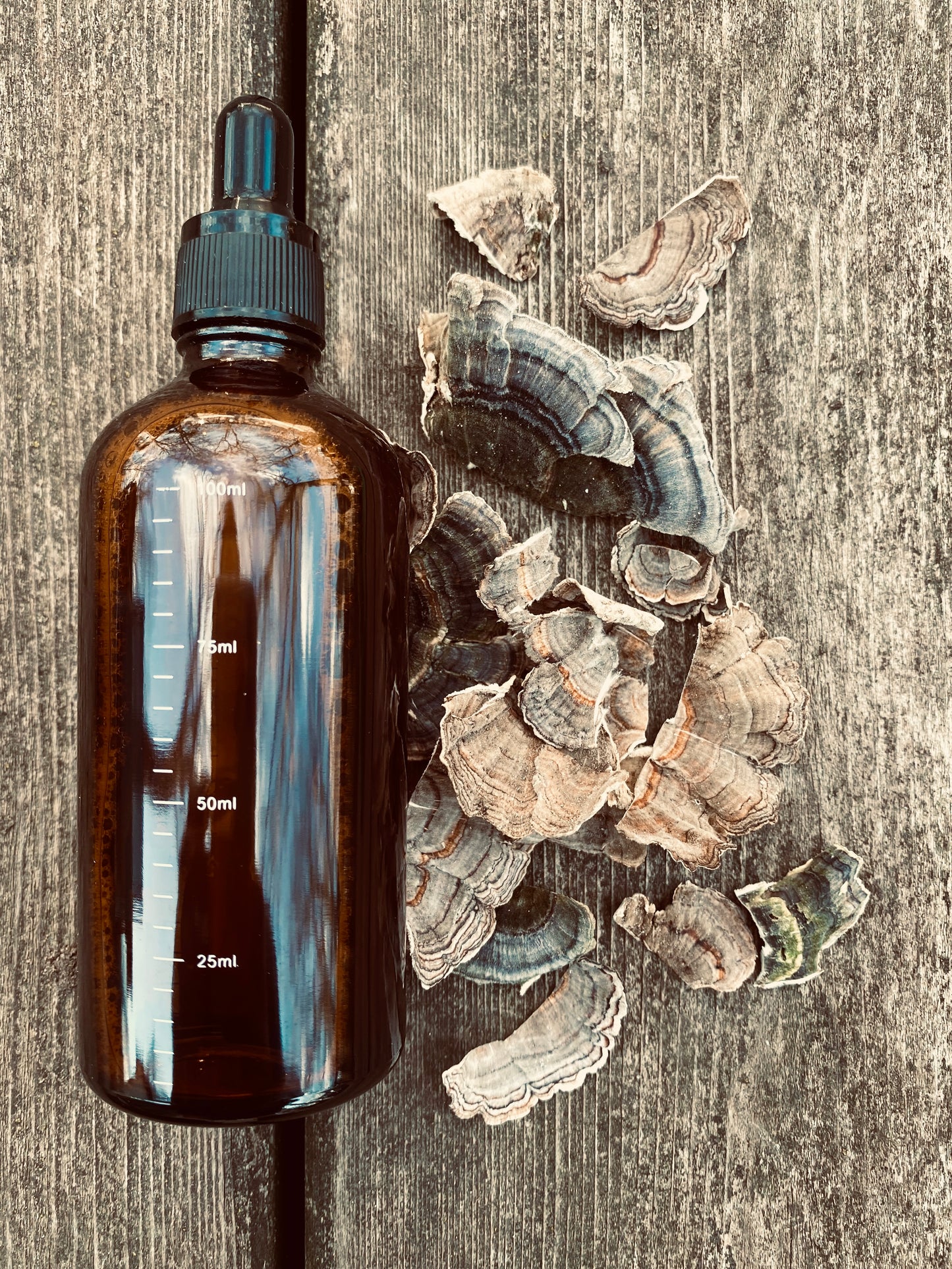 Intro To Medicinal Mushroom Tinctures
