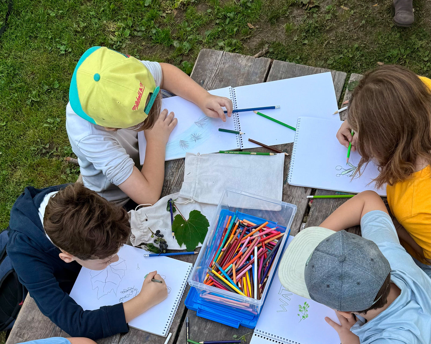 Wildfood Literacy For Kids