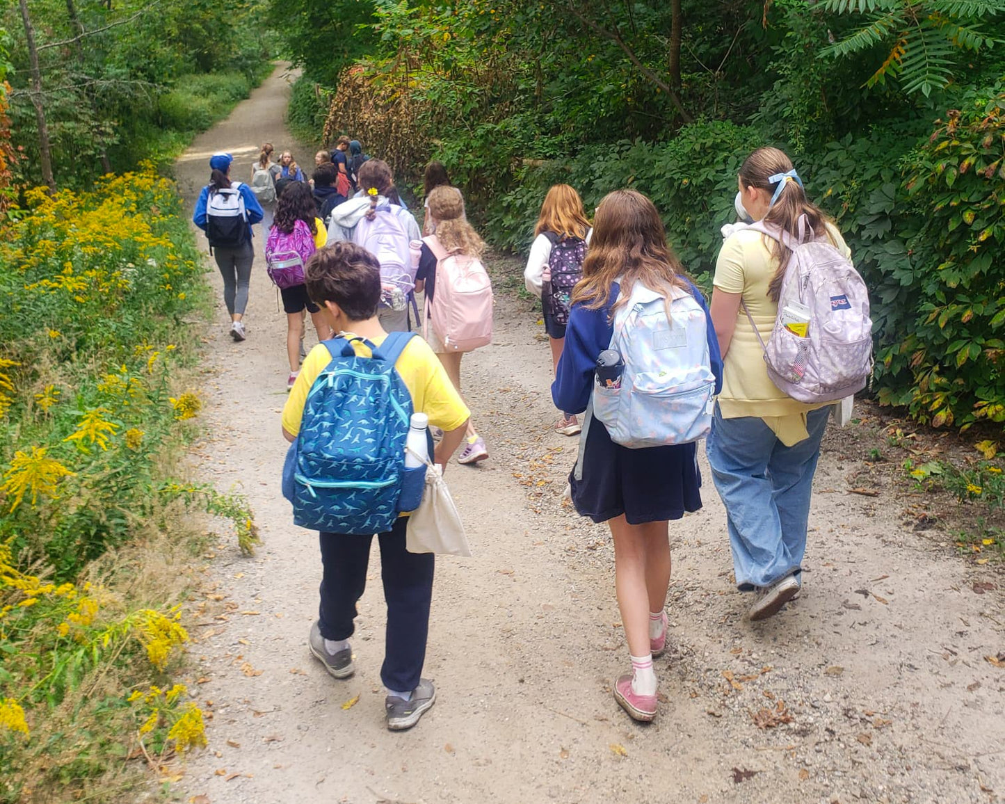 Wildfood Literacy For Kids