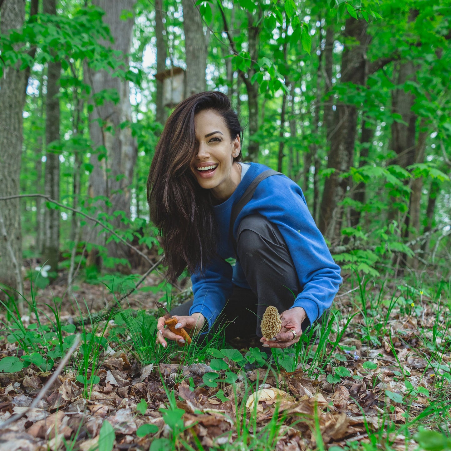 Guided Foraging Walk