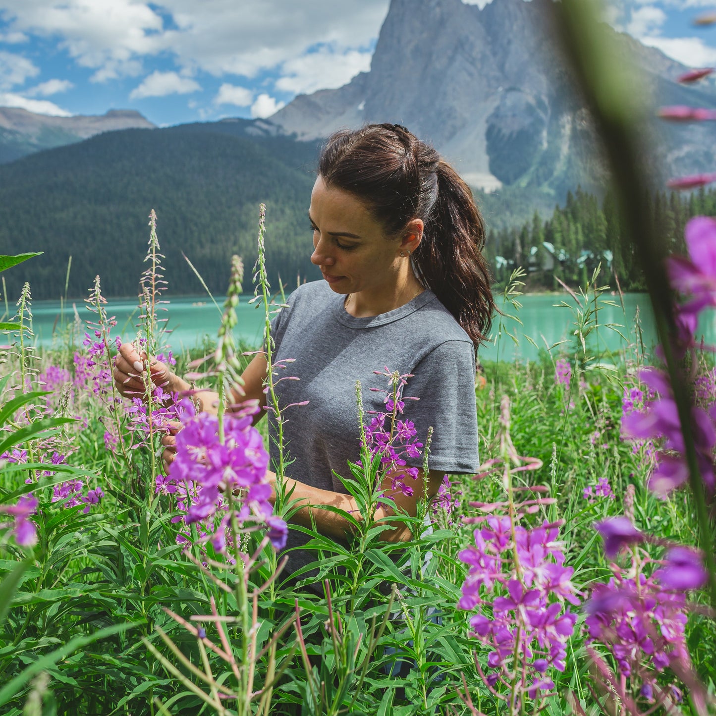 Guided Foraging Walk