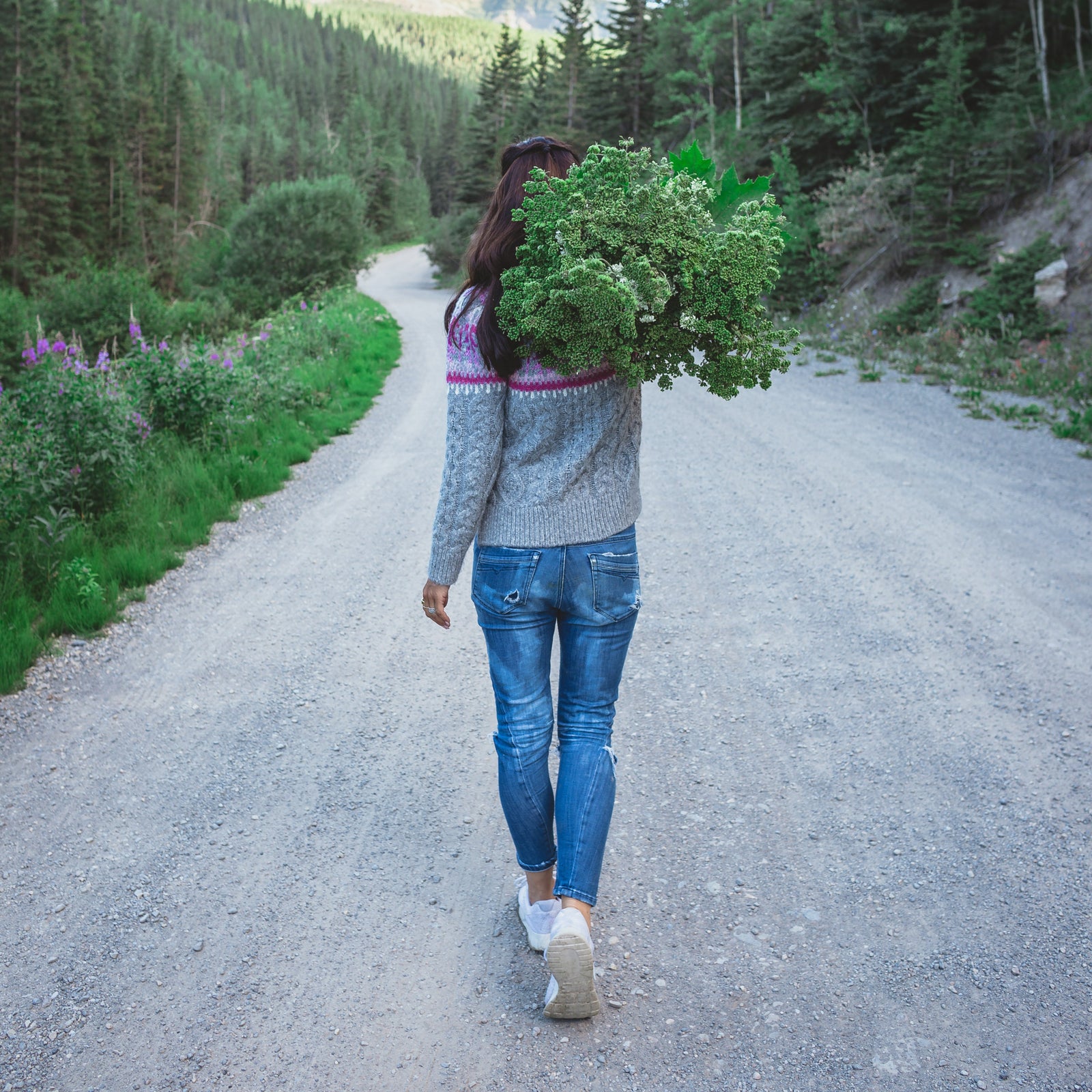 Guided foraging walks